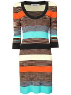 Dvf Diane Von Furstenberg Rib Knit Fitted Dress - Multicolour