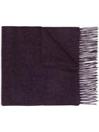 N.peal Fringed Knitted Scarf - Purple
