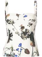 Adam Lippes Slim-fit Corset Top - Multicolour