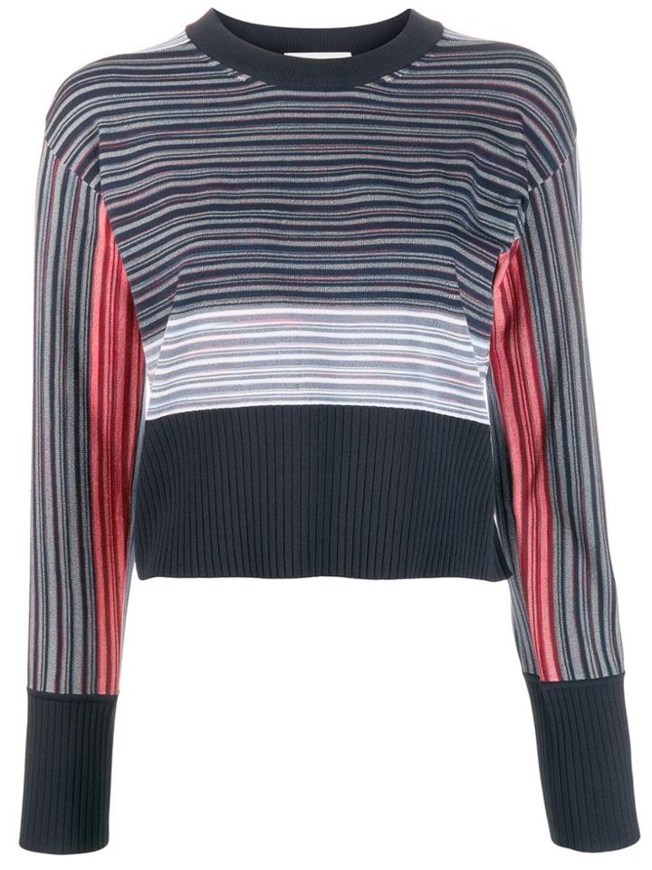 Sportmax Contrast Striped Sweater - Blue