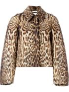 Chloé Leopard Print Jacquard Jacket, Women's, Size: 42, Brown, Cotton/viscose