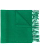 N.peal Knitted Fringed Scarf - Green