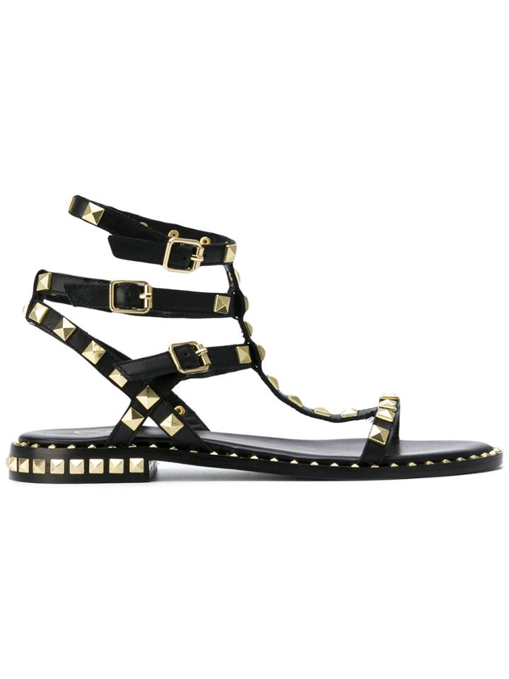 Ash Studded Sandals - Black