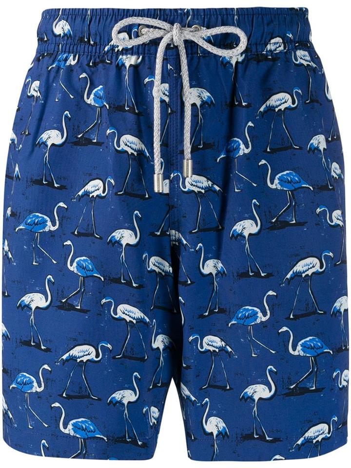 Bluemint Eclipse Flamingo Print Swim Shorts