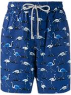 Bluemint Eclipse Flamingo Print Swim Shorts
