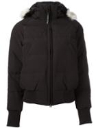 Canada Goose 'ladies Savona' Bomber Jacket, Women's, Size: Medium, Black, Cotton/nylon/polyester/duck Feathers
