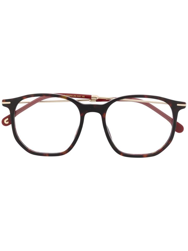 Carrera Angular Glasses - Brown