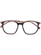 Carrera Angular Glasses - Brown