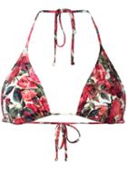Dolce & Gabbana Rose (pink) Print Triangle Bikini Top, Women's, Size: Iv, Polyamide/spandex/elastane
