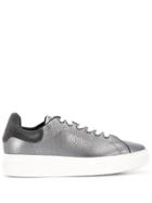 Twin-set Low Lace-up Sneakers - Grey