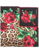 Dolce & Gabbana Leopard Print Foulard - Black