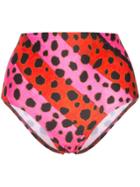 House Of Holland Leopard Print Striped Bikini Bottoms - Pink