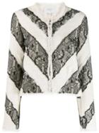 Giambattista Valli Lace Panel Jacket - White