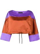 Christian Pellizzari Shiny Colour Block Crop Top - Brown