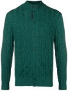 Doriani Cashmere Cable-knit Fitted Cardigan - Green