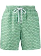 Barba Swimming Shorts - Green