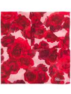 Blumarine Rose Print Scarf - Red