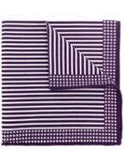 Brunello Cucinelli Striped Pocket Square - Purple
