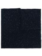 Fabiana Filippi Embellished Knitted Scarf - Blue