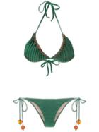 Adriana Degreas Triangle Bikini Top - Green