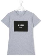 Msgm Kids Print T-shirt, Boy's, Size: 14 Yrs, Grey