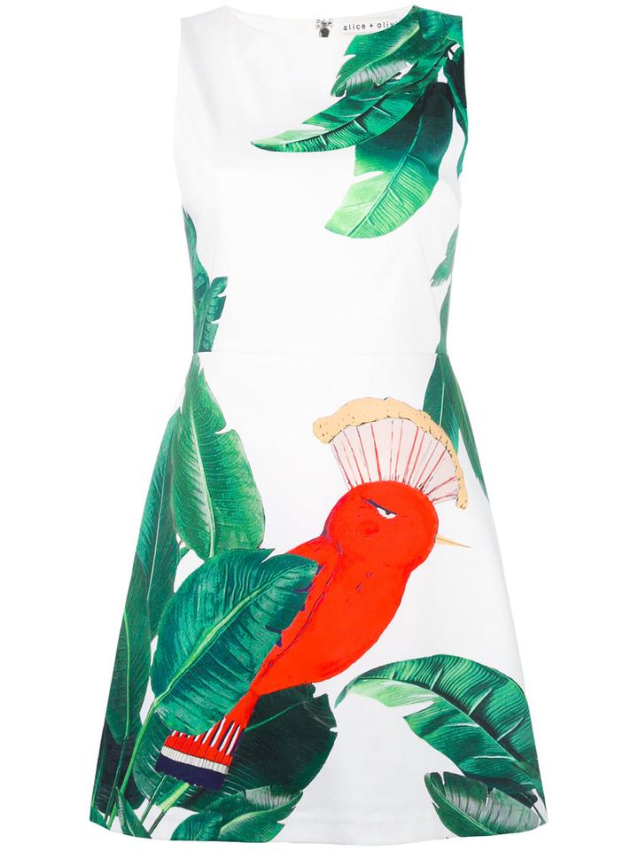 Alice+olivia - Bird Print Day Dress - Women - Cotton/polyester/spandex/elastane - 6, White, Cotton/polyester/spandex/elastane
