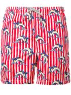 Mc2 Saint Barth - Printed Swim Shorts - Men - Polyamide/polyester/spandex/elastane - Xl, Polyamide/polyester/spandex/elastane