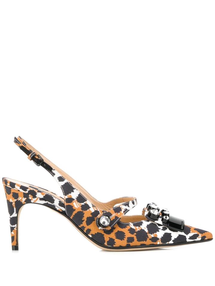 Sergio Rossi Leopard Print Slingback Pumps - Brown
