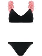 La Reveche Aisha Bikini Set - Black