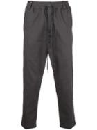 The Celect Cropped Trousers - Grey