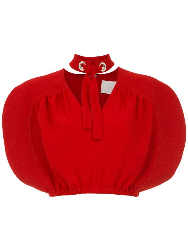Framed Cracker Cropped Top - Red