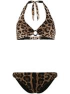 Dolce & Gabbana Leopard Print Bikini - Neutrals