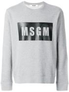 Msgm Branded Sweatshirt - Grey