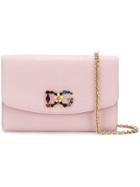 Dolce & Gabbana Crossbody Wallet Bag - Pink