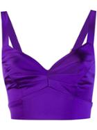 Murmur Bustier Cropped Top - Purple