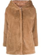 Herno Hooded Short Jacket - Brown