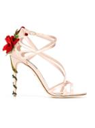 Dolce & Gabbana Climbing Rose Sandals - Pink