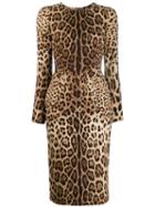 Dolce & Gabbana Leopard Print Bodycon Dress - Neutrals