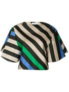 Bianca Spender Greta Striped Crop Blouse - Multicolour