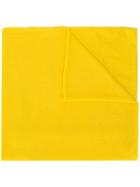 Allude Fine Knit Scarf - Yellow
