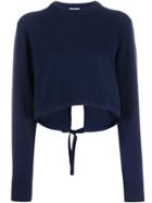 Chloé Long Sleeve Cropped Sweater - Blue