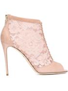 Dolce & Gabbana Bette Booties - Pink