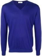 Laneus V-neck Sweater - Purple