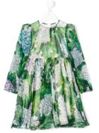 Dolce & Gabbana Kids - Hydrangea Print Sheer Dress - Kids - Silk/viscose - 3 Yrs, Green