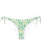 Mc2 Saint Barth Cactus Print Bikini Briefs - Green