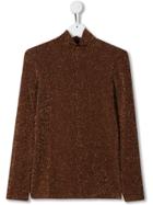 Caffe' D'orzo Teen Denise Lamé Turtleneck Top - Brown