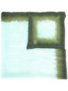 Faliero Sarti Dip-dye Scarf, Women's, Green, Modal/virgin Wool