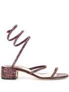 René Caovilla Spring Strap Sandals - Purple