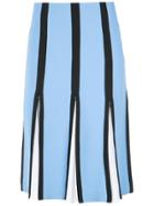 Reinaldo Lourenço Panelled Midi Skirt - Blue