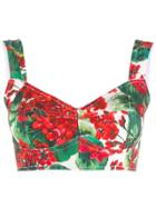 Dolce & Gabbana Floral Bustier Top - Red